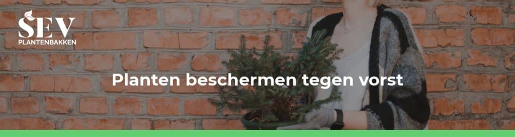 planten beschermen vorst