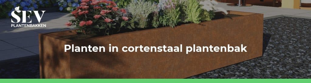 welke planten in cortenstaal plantenbak