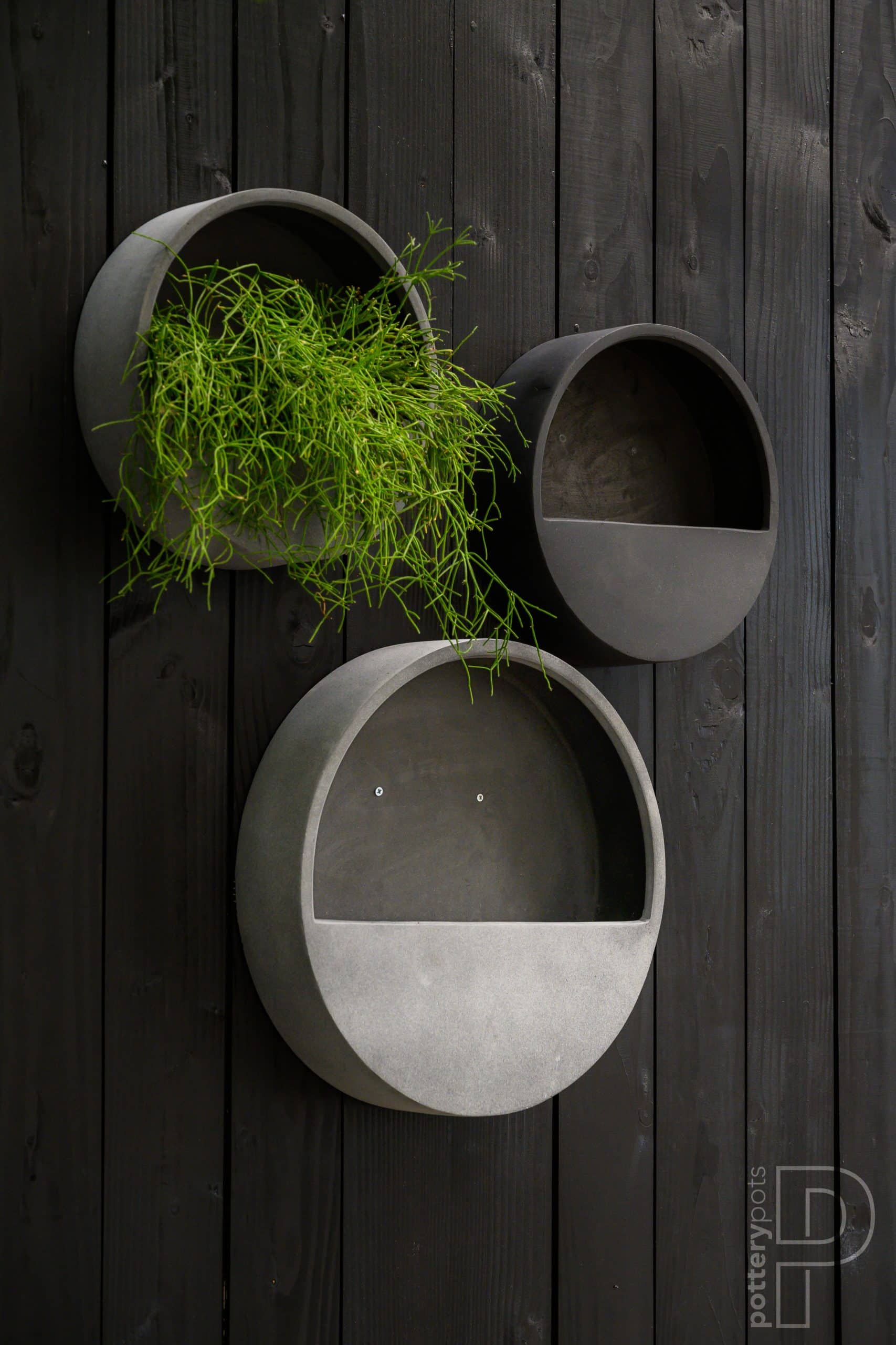 Pottery Pots