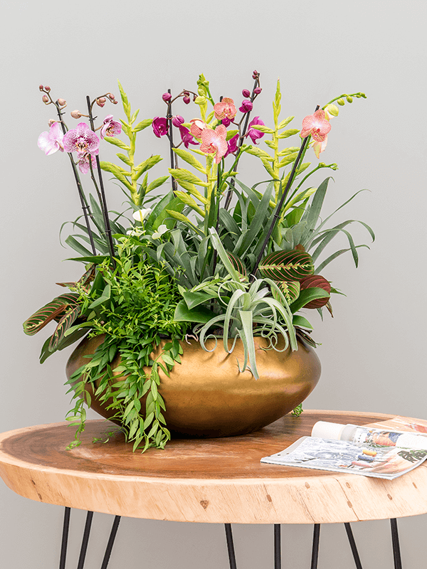 SEV Baq Metallic Silver leaf Plantenbak - Matt Honey