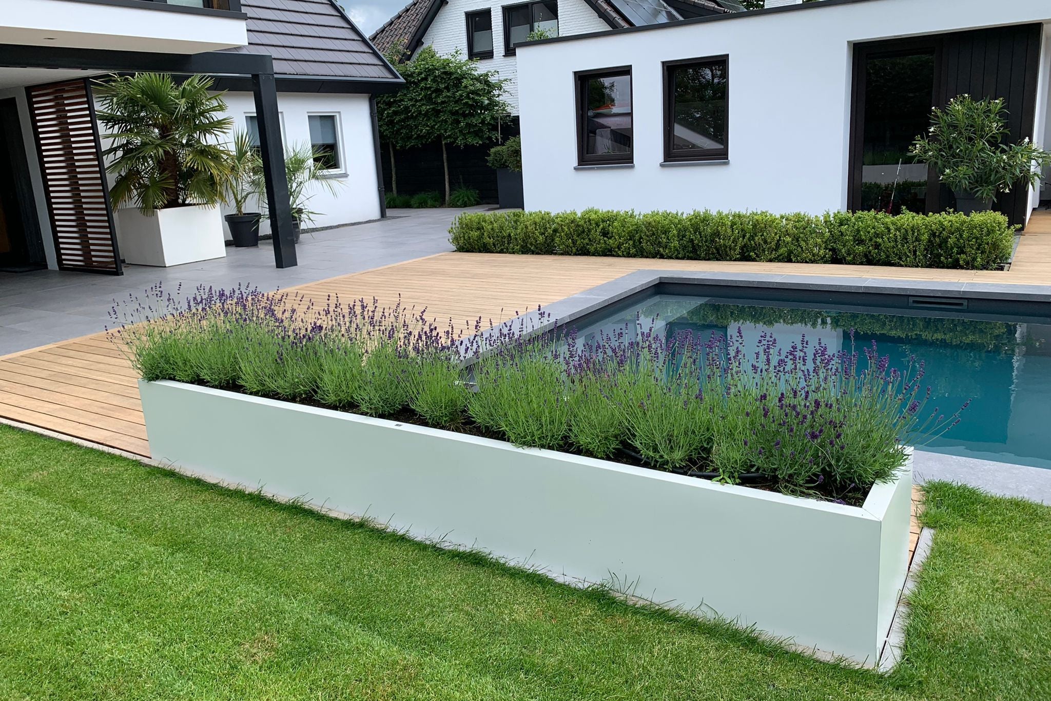 SEV Plantenbak 300x50x50