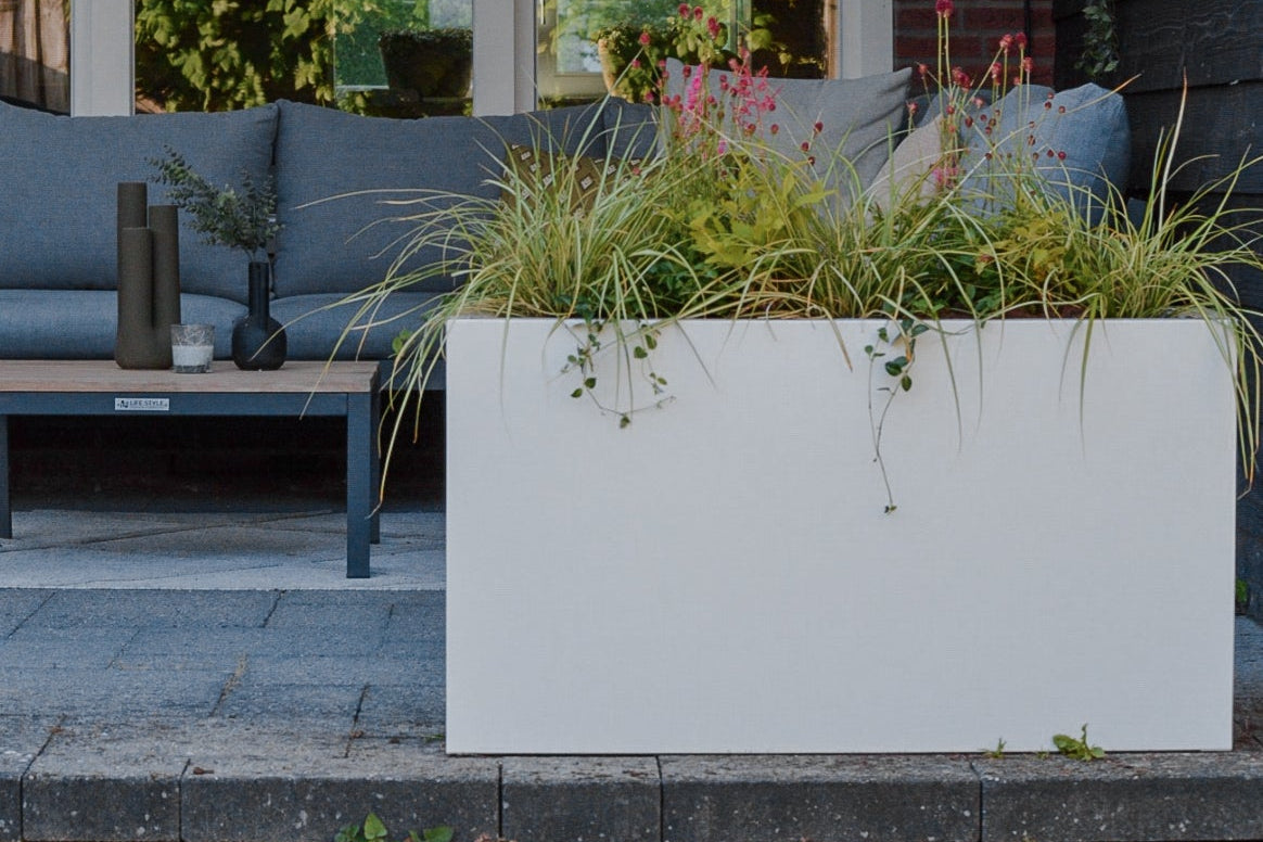 Sev plantenbak 100x50x50