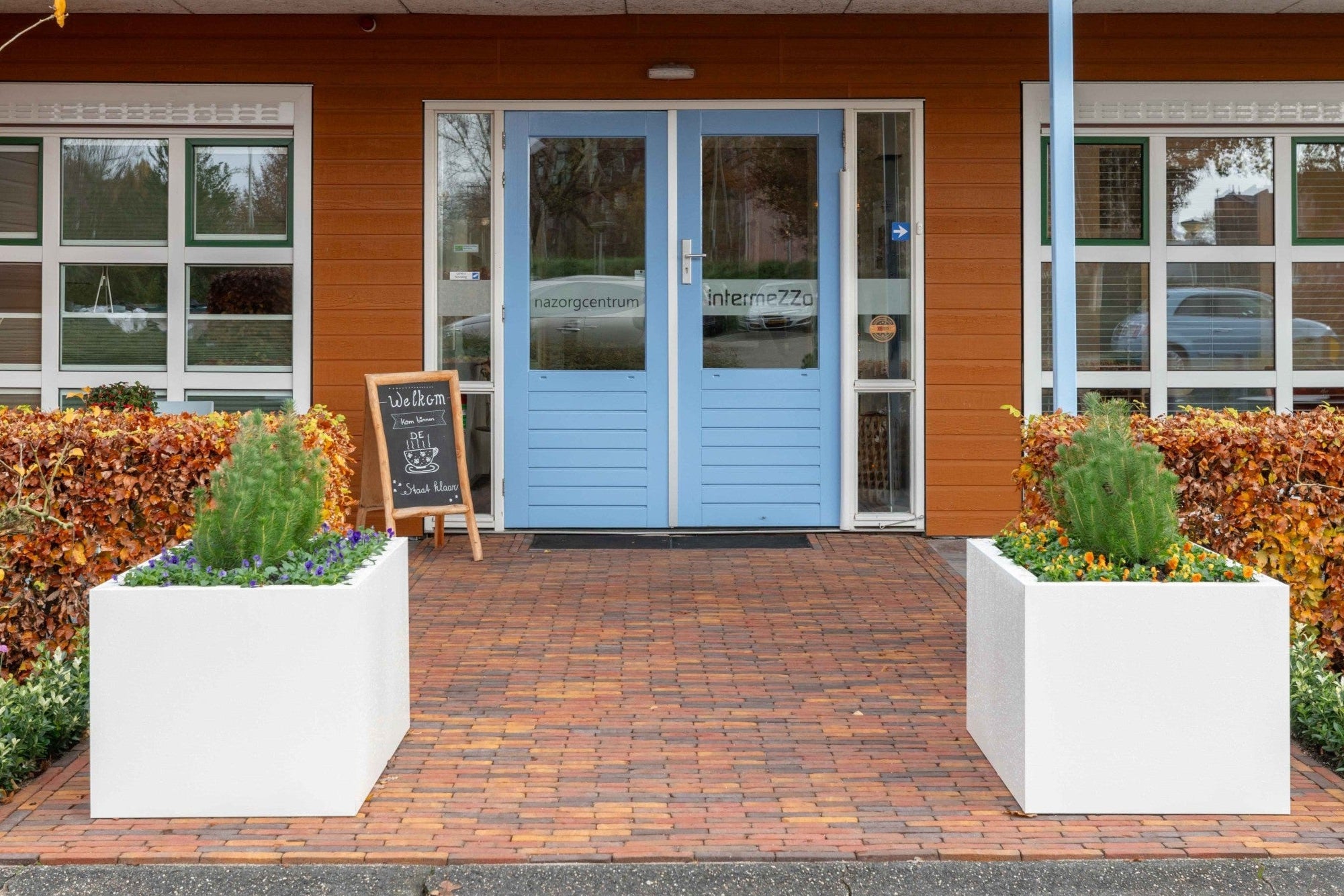 SEV plantenbak 100x50x50