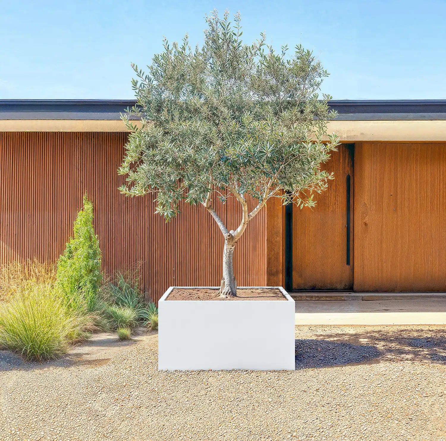 SEV Plantenbak 120x120x60