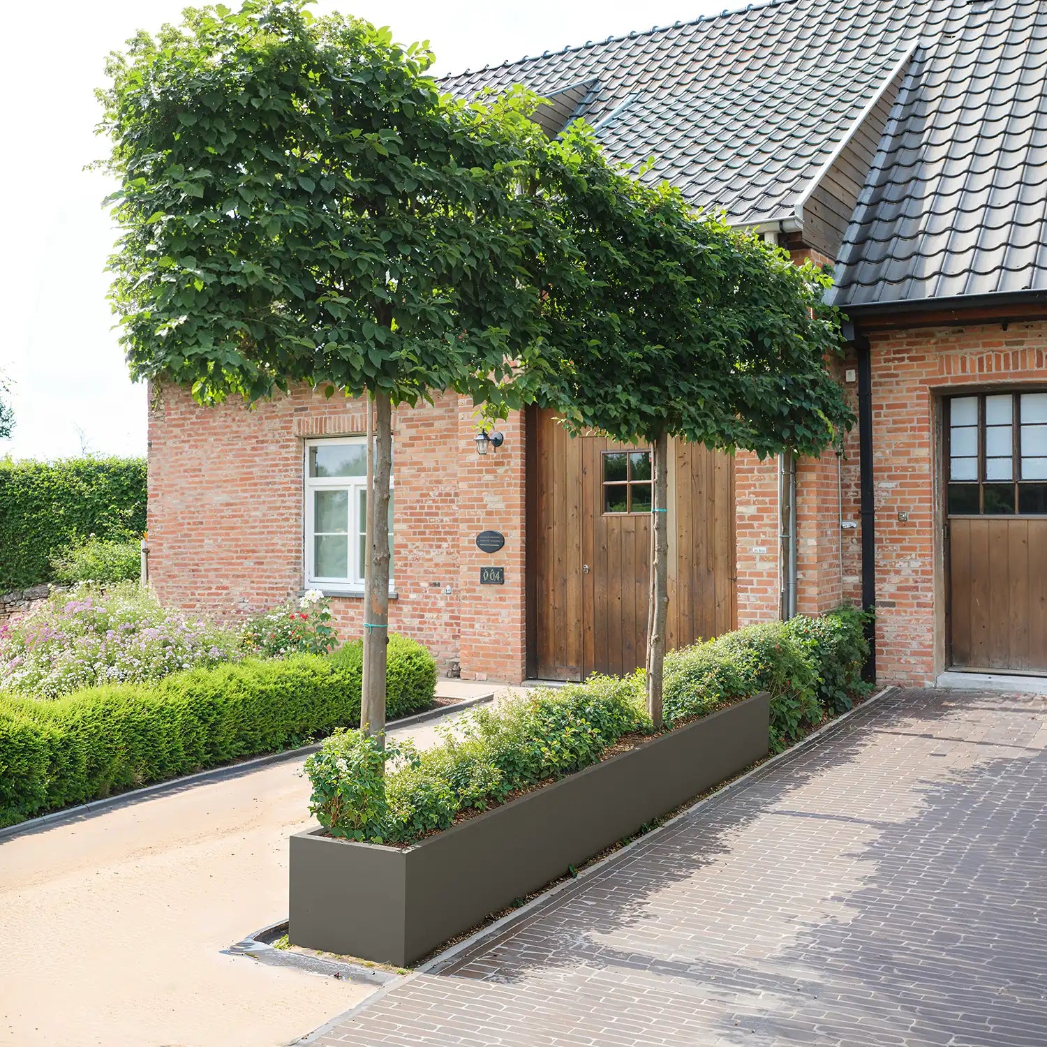 SEV Plantenbak 400x50x50