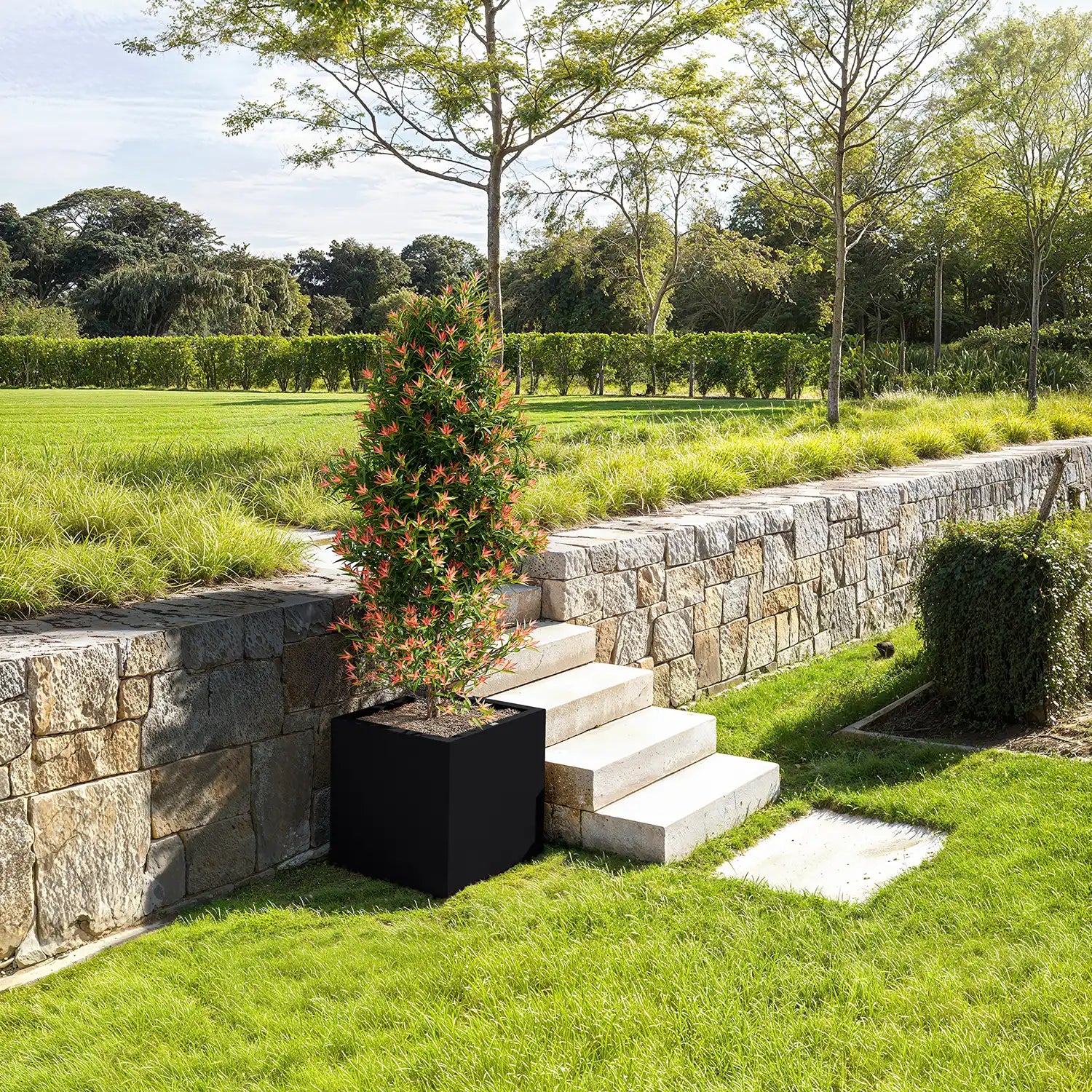 SEV Plantenbak 50x50x50