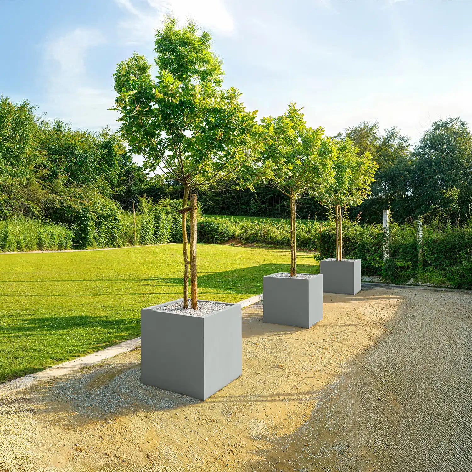 SEV Plantenbak 60x60x60