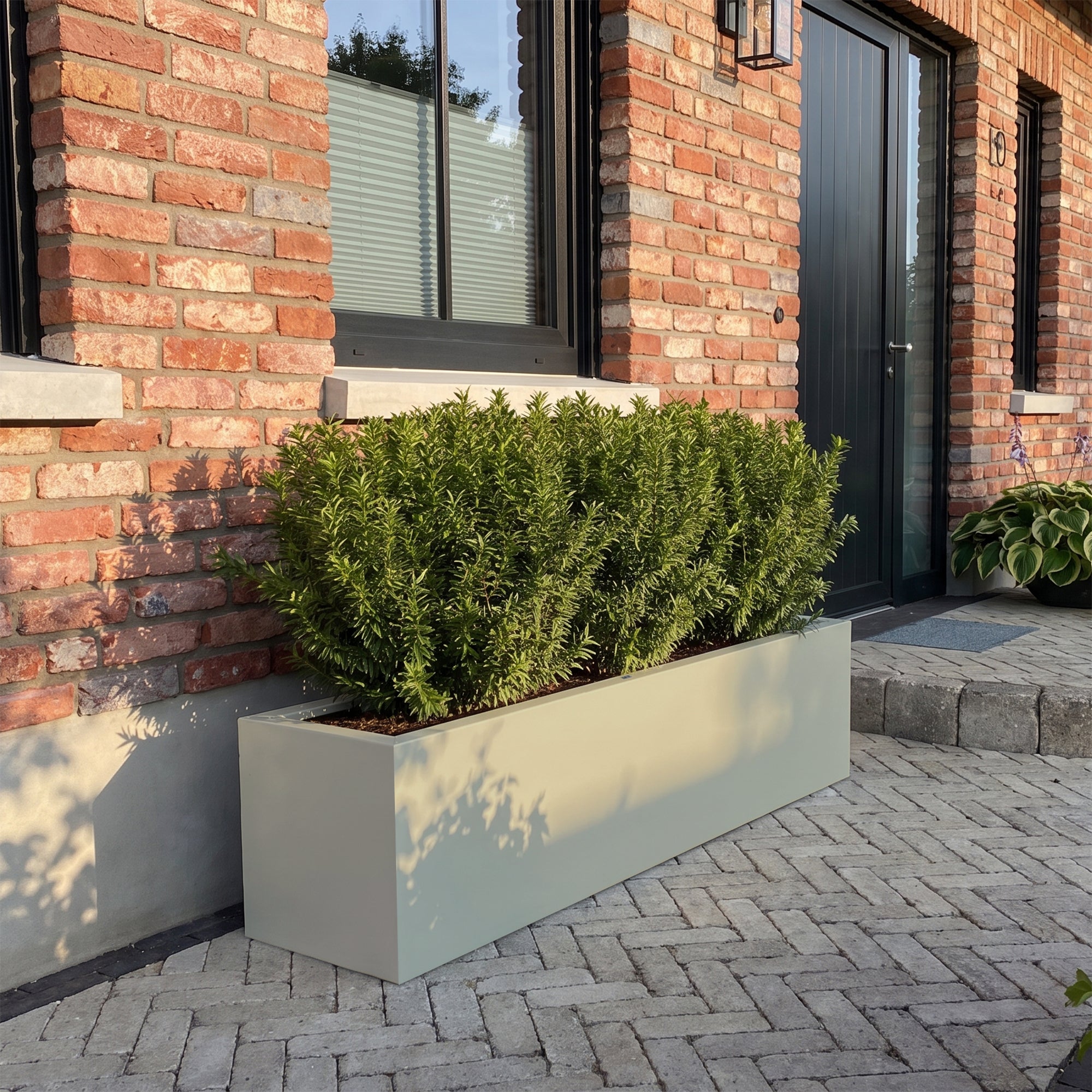 SEV Plantenbak 200x40x40