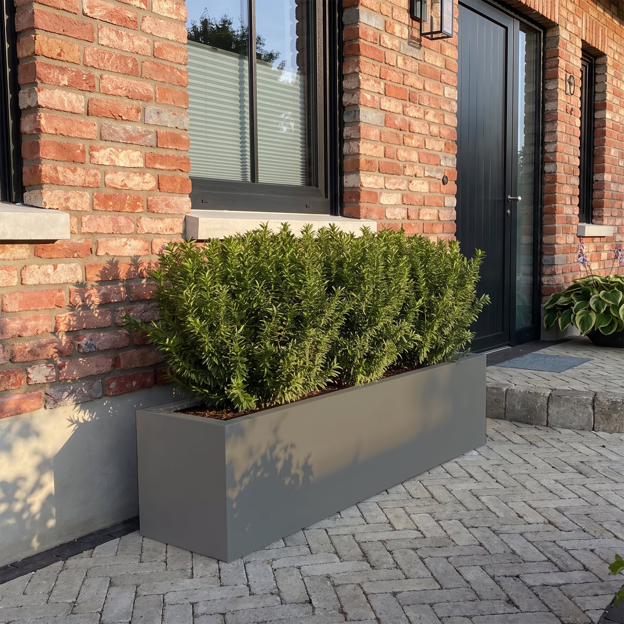SEV Plantenbak 200x40x40