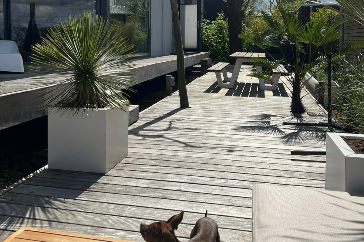 SEV Plantenbak 40x40x40