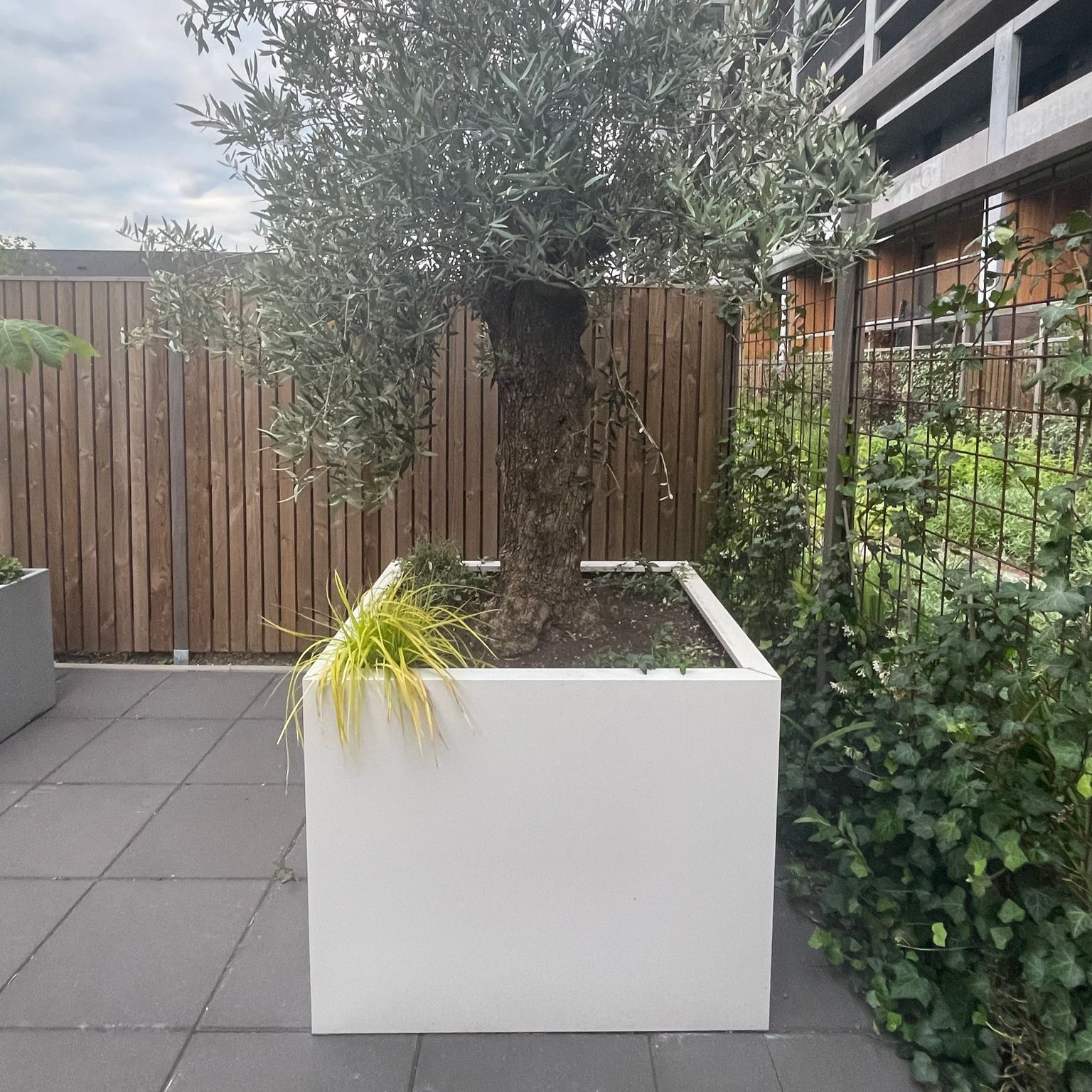 SEV Plantenbak 100x100x80