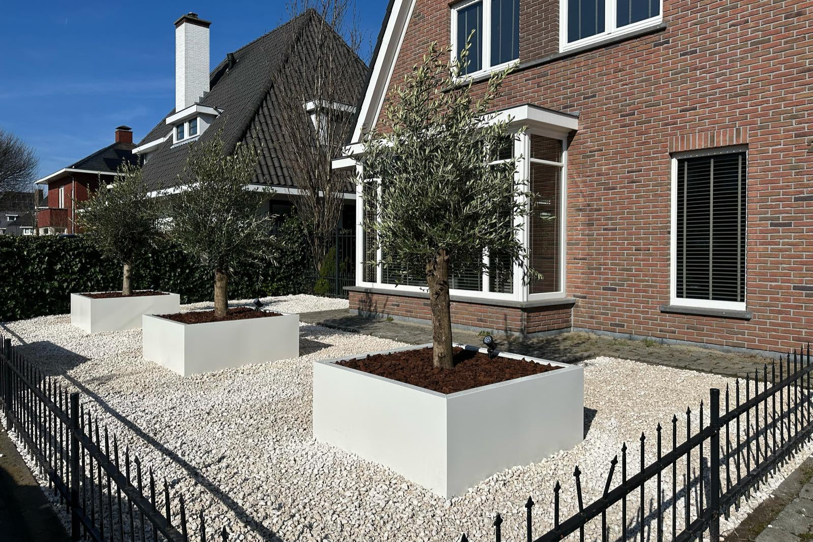 SEV Plantenbak 120x120x50