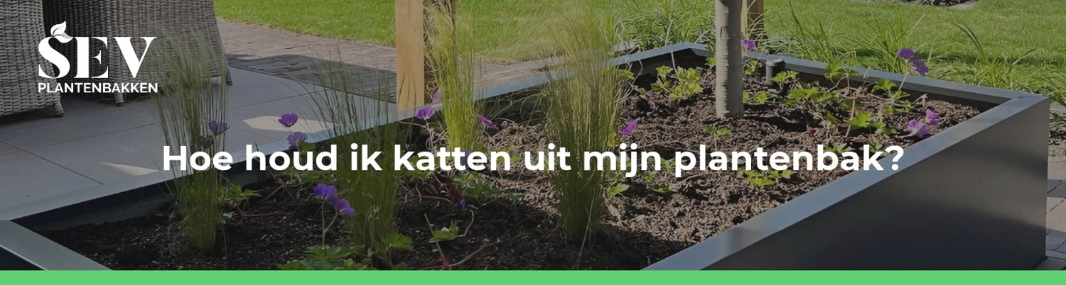 Hoe houd ik katten uit mijn plantenbak?