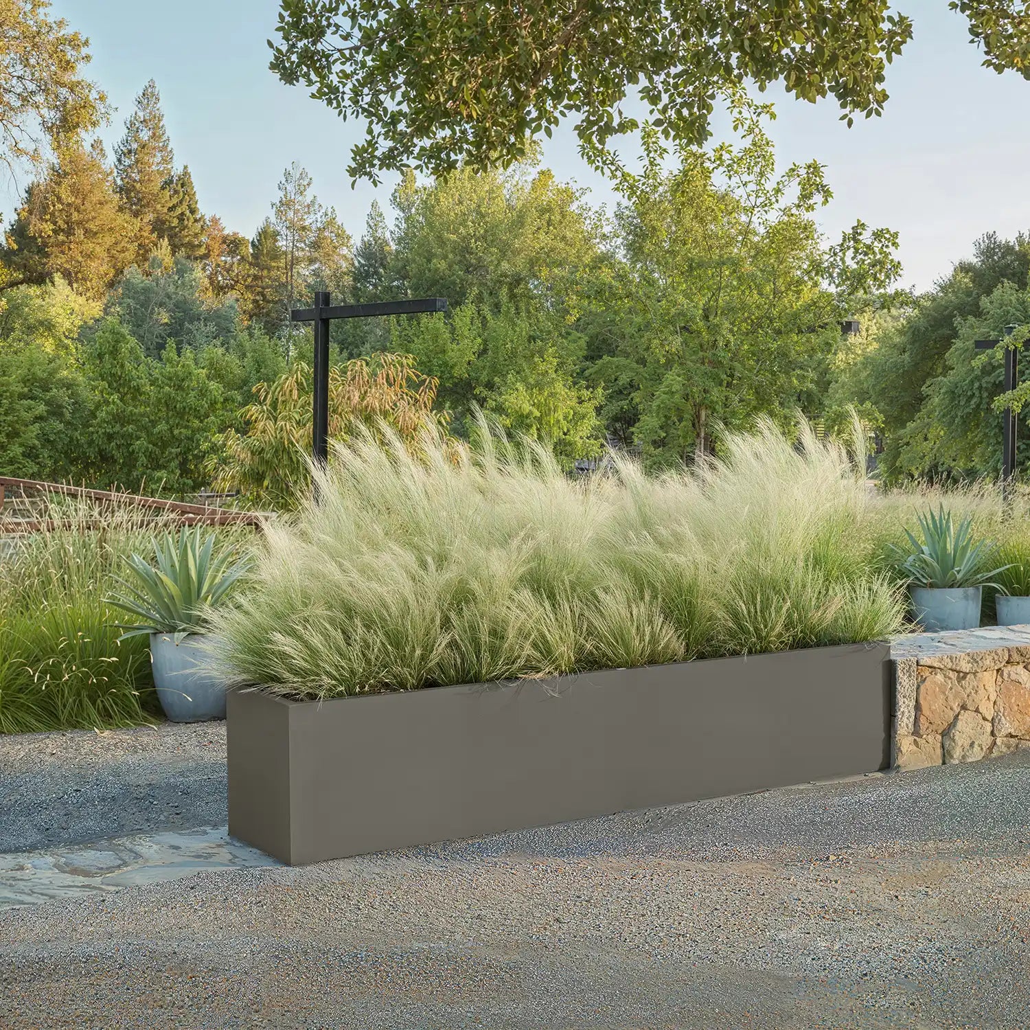 SEV Plantenbak 250x50x50