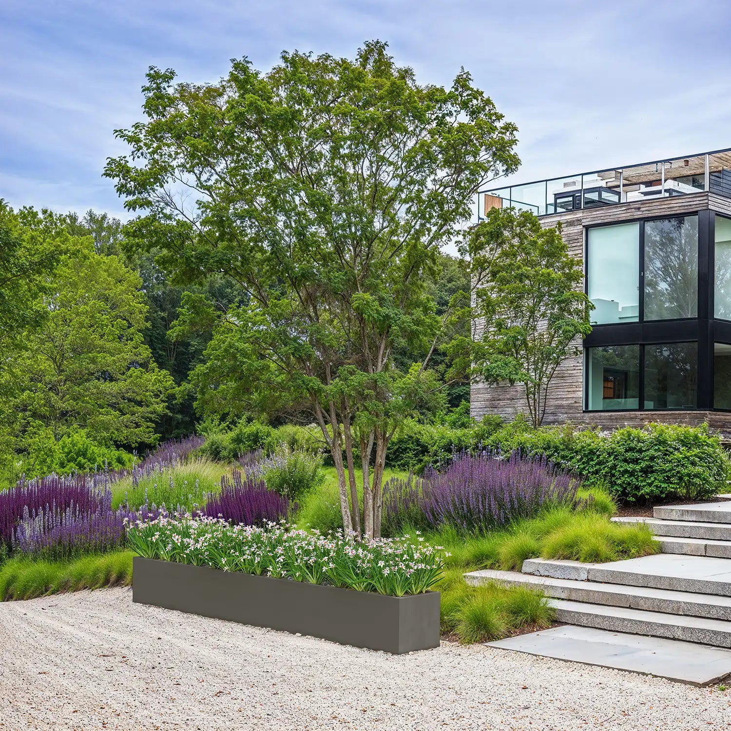 SEV Plantenbak 300x40x40