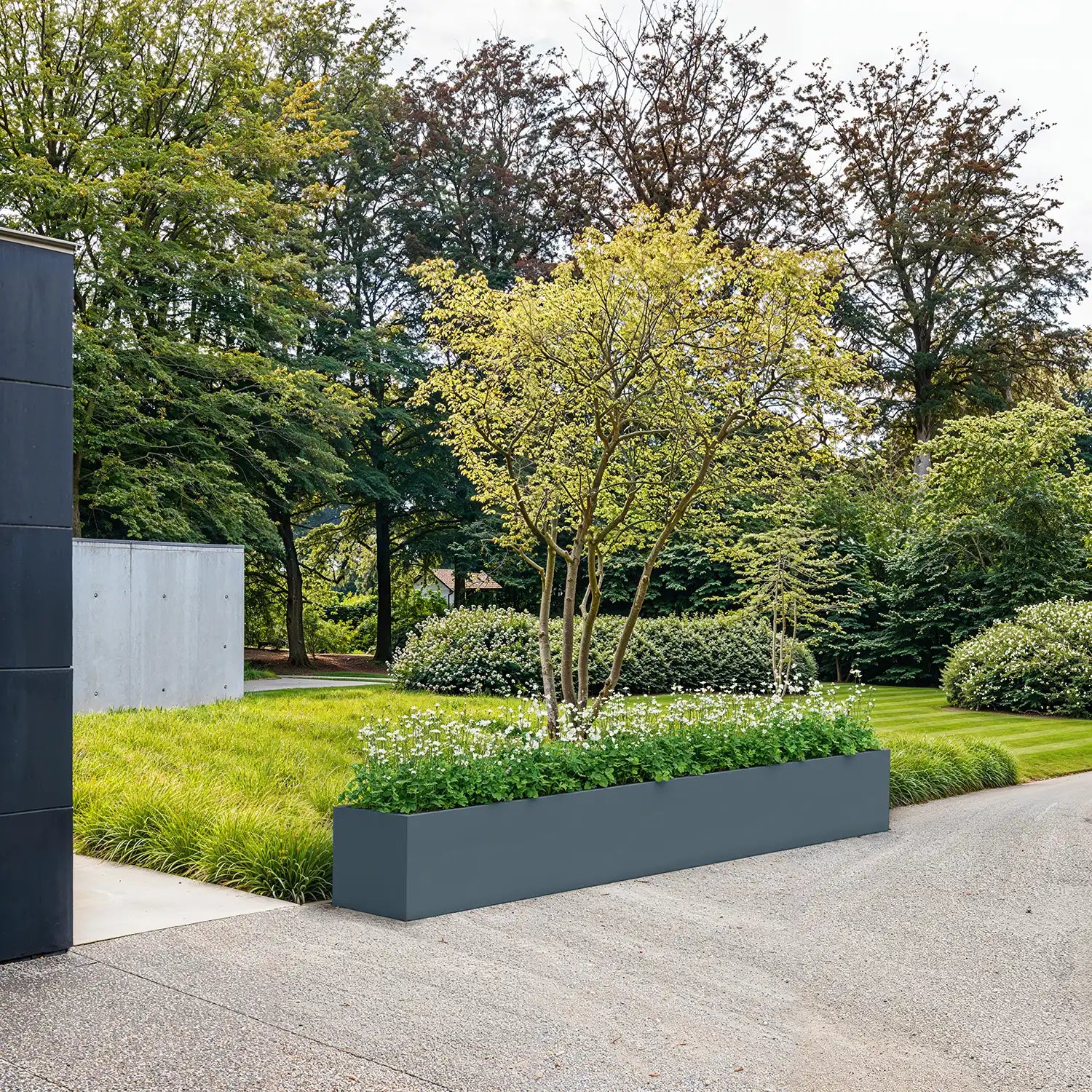 SEV Plantenbak 350x50x50