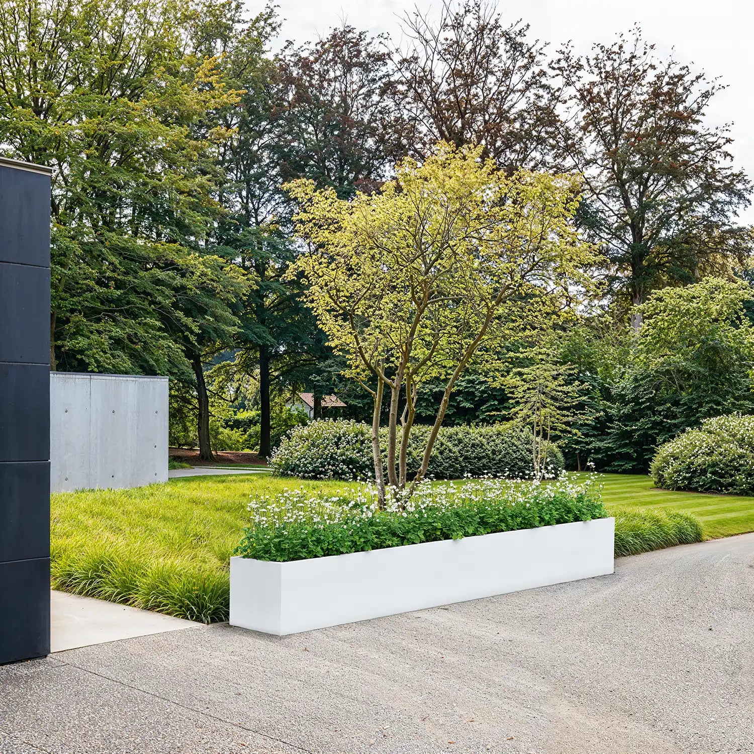 SEV Plantenbak 350x50x50