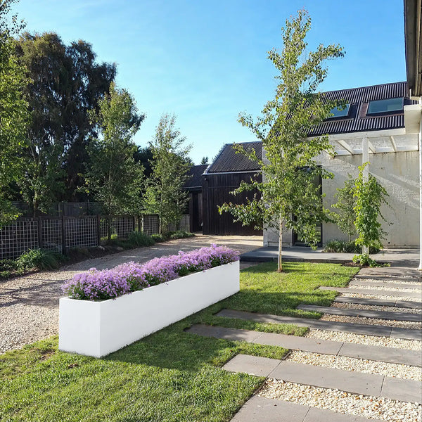 SEV Plantenbak 400x60x60