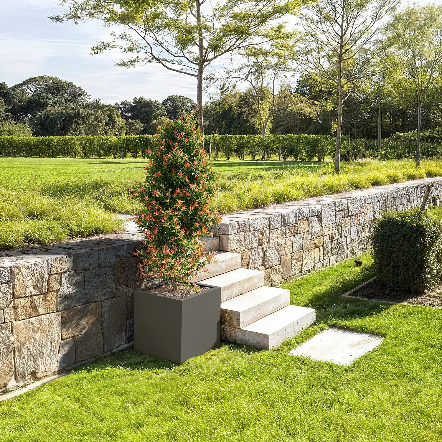 SEV Plantenbak 50x50x50