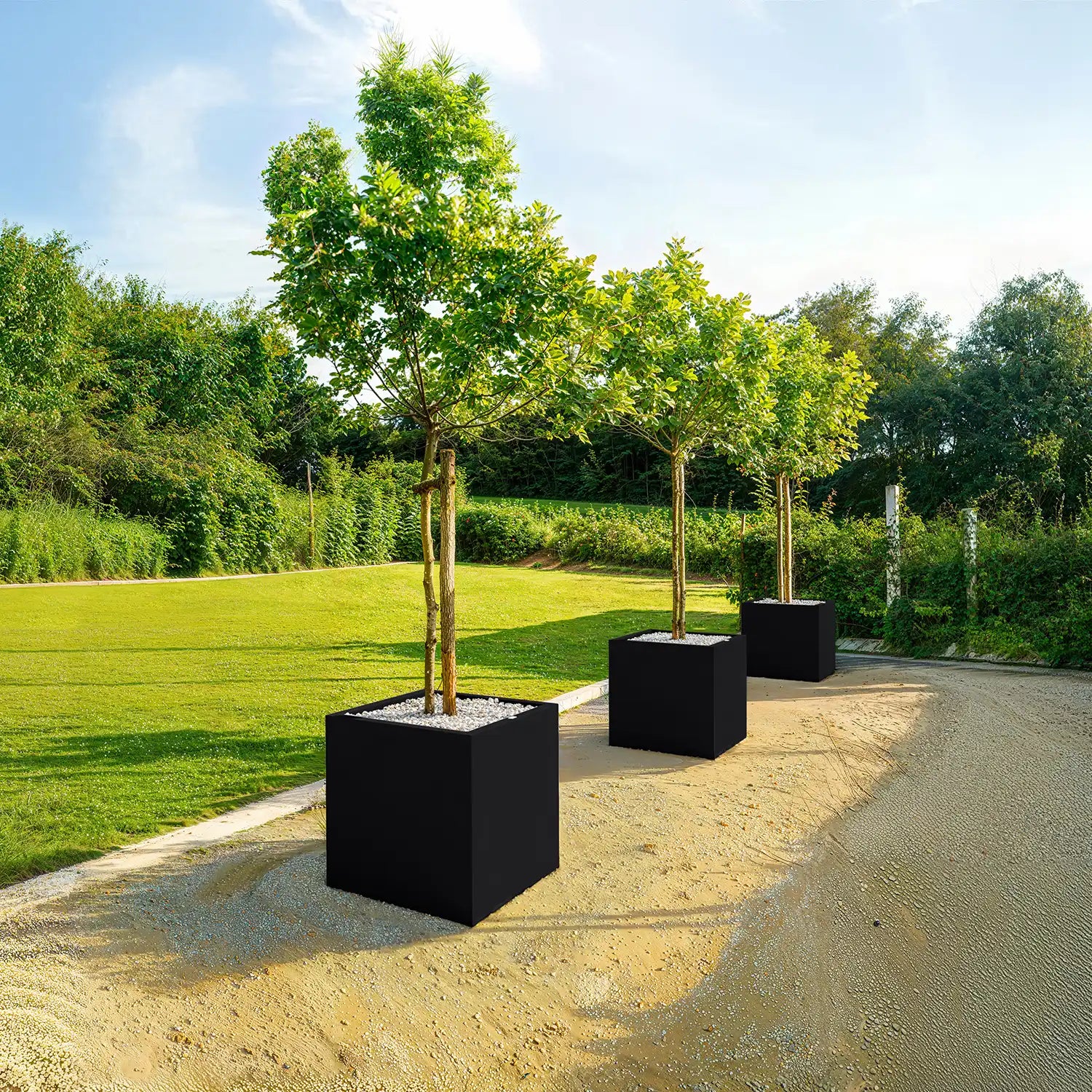 SEV Plantenbak 60x60x60