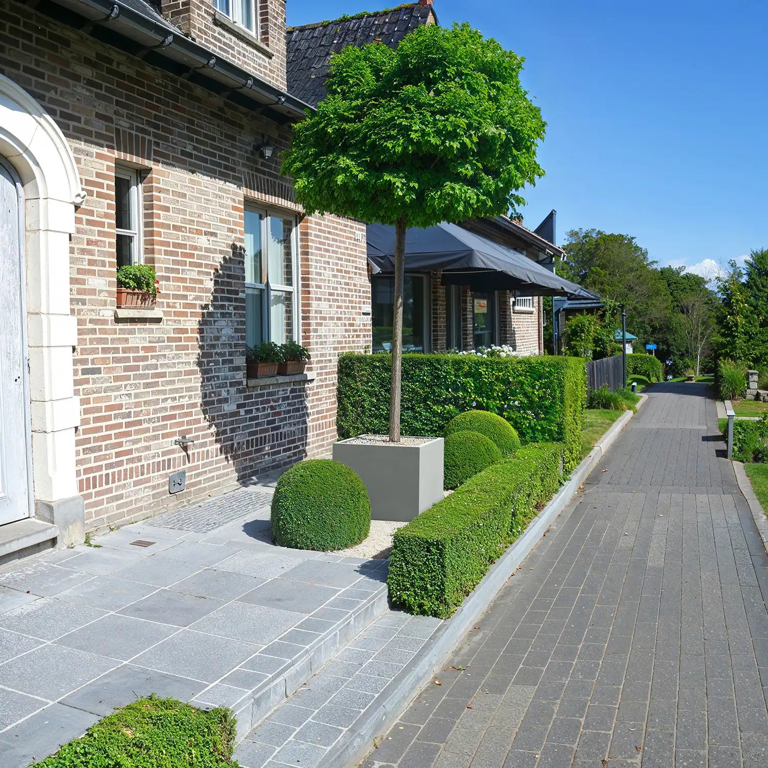 SEV Plantenbak 75x75x60