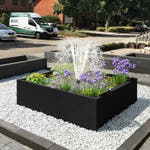Zwart