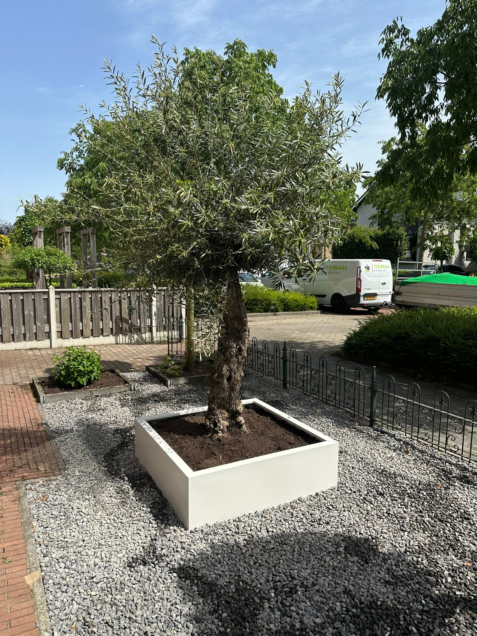 SEV Plantenbak 100x100x40