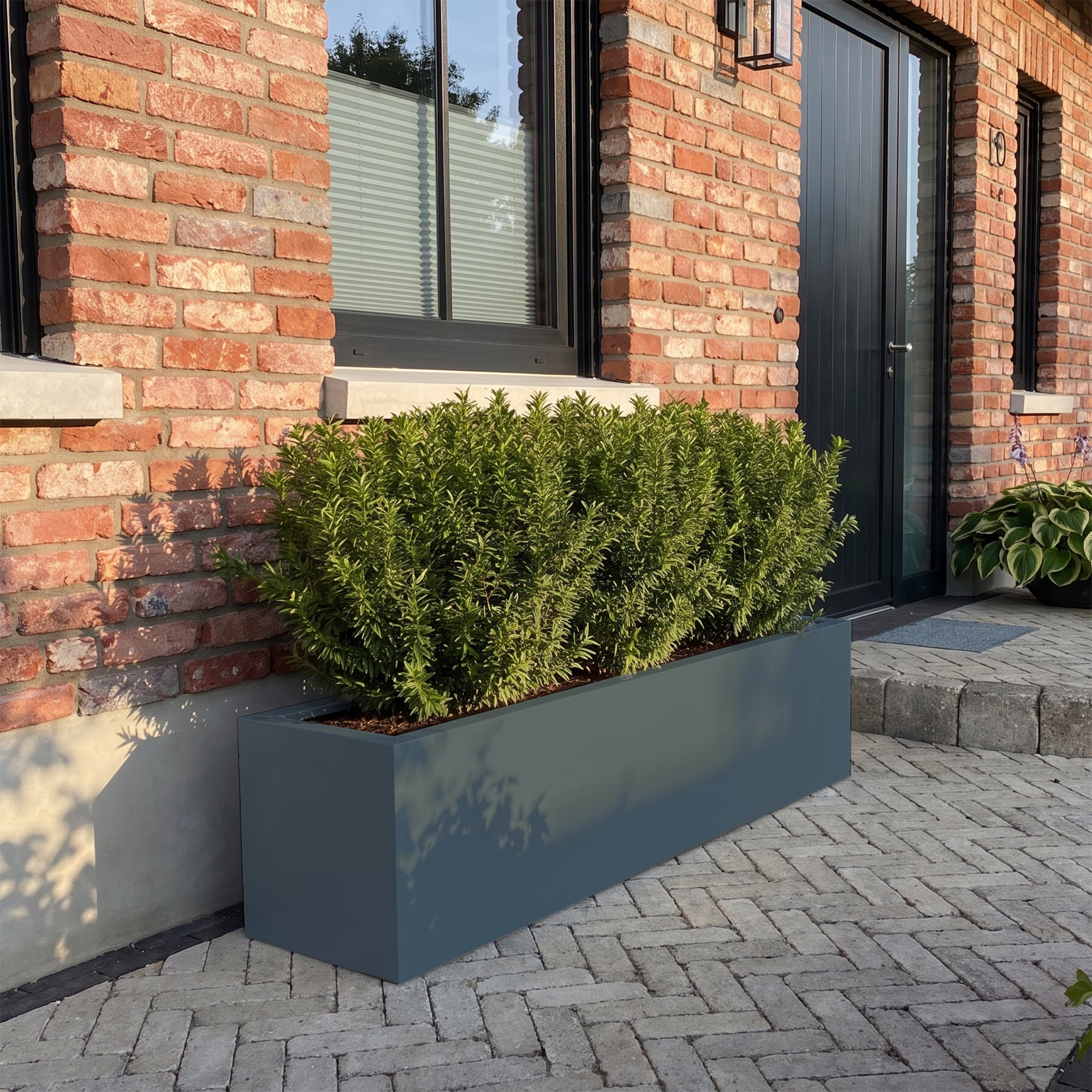 SEV Plantenbak 200x40x40