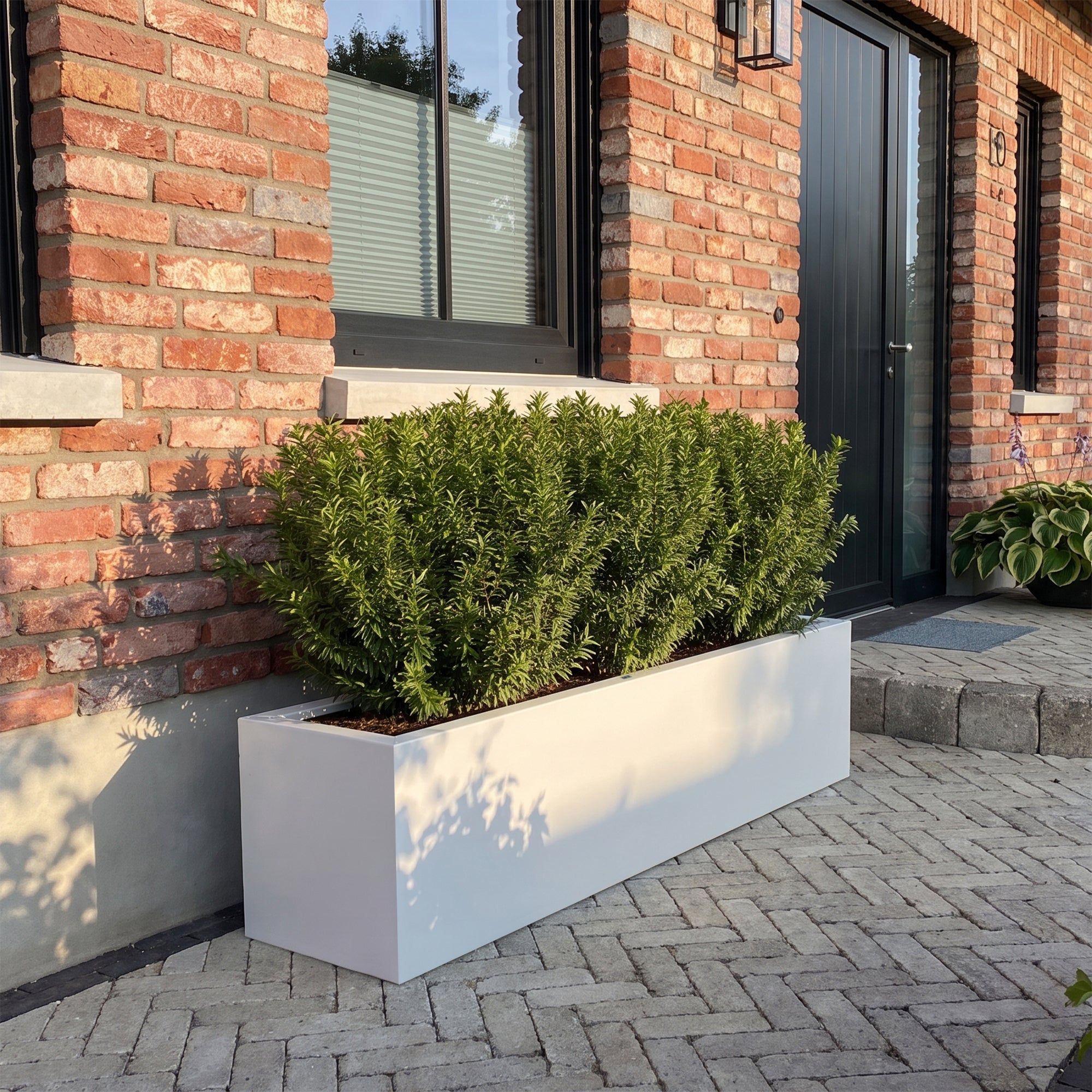 SEV Plantenbak 200x40x40