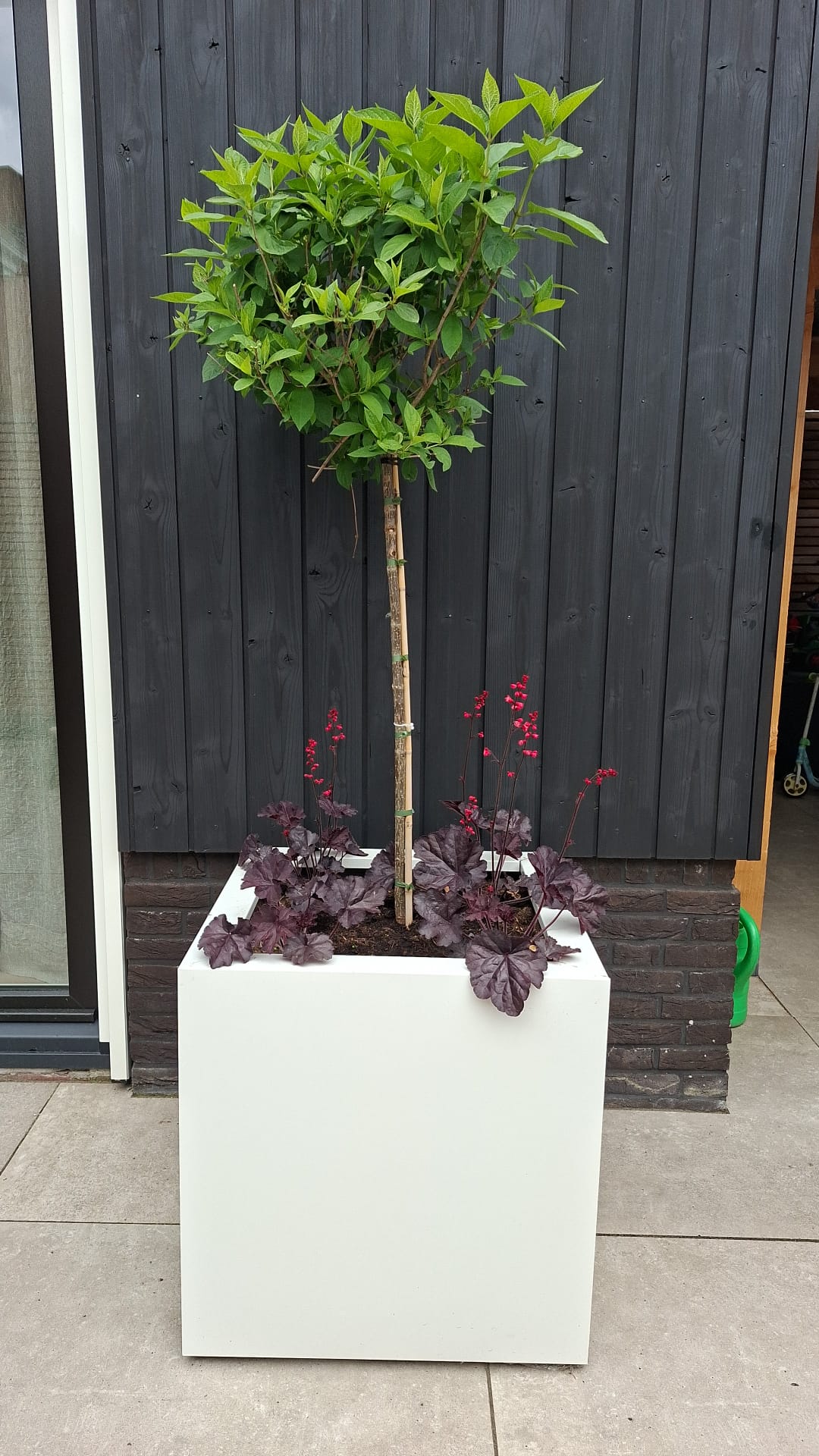 SEV Plantenbak 50x50x50