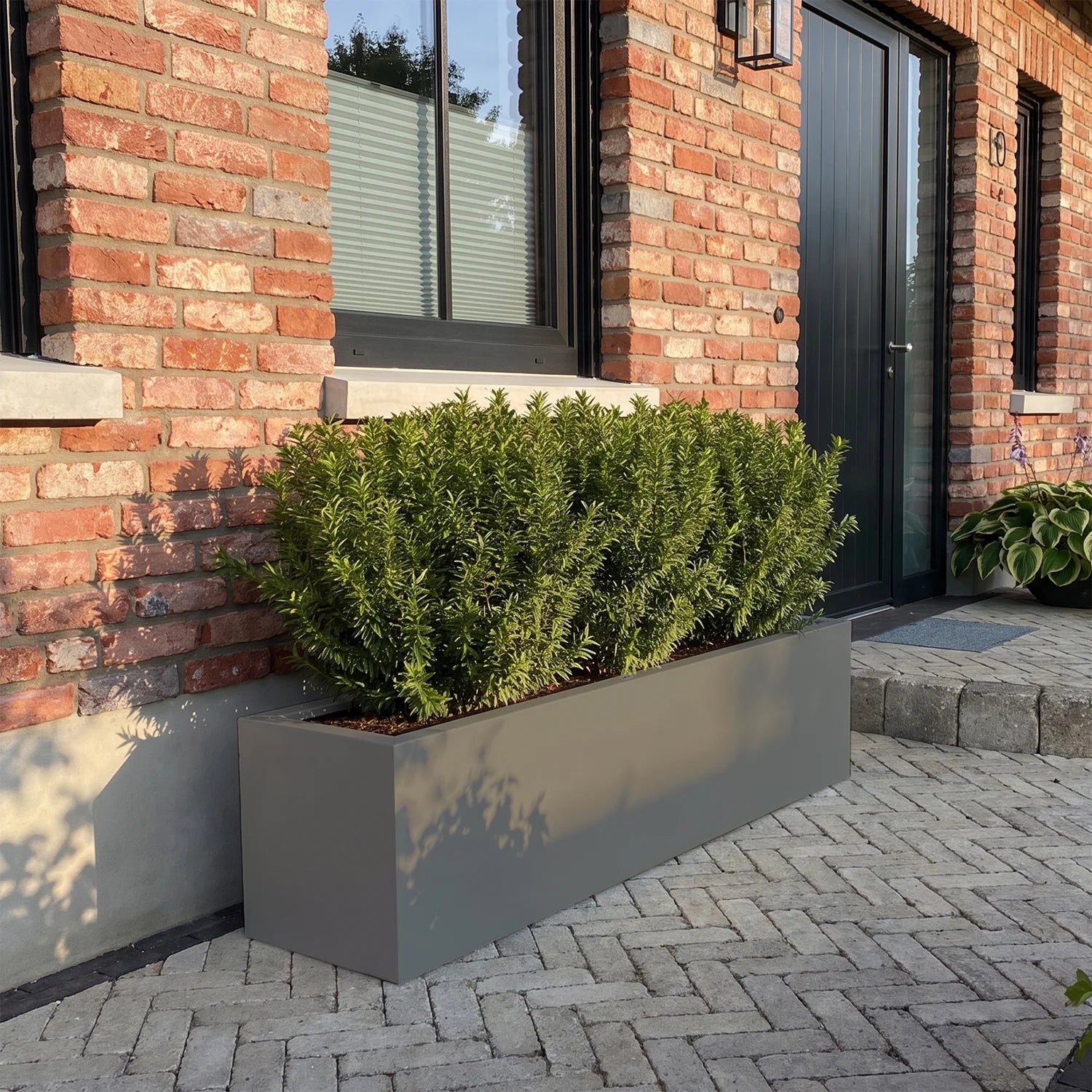 SEV Plantenbak 200x40x40