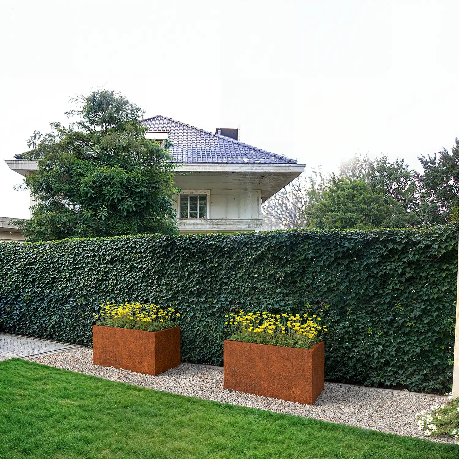 SEV Plantenbak 100x50x50 Cortenstaal