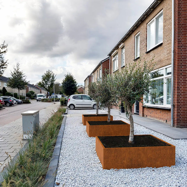 SEV Plantenbak 120x120x50 Cortenstaal