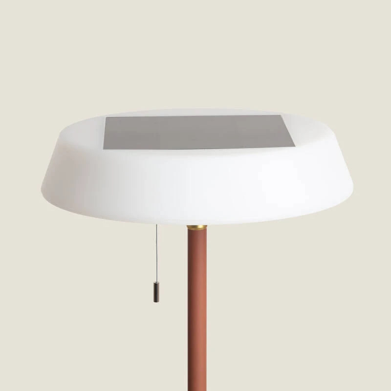 Staandelamp Solar Outdoor LED 2.6W Aldana